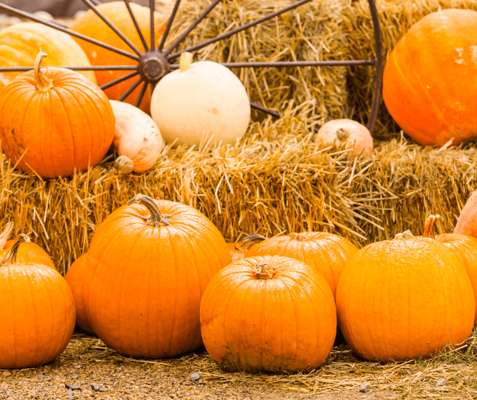 Pumpkins