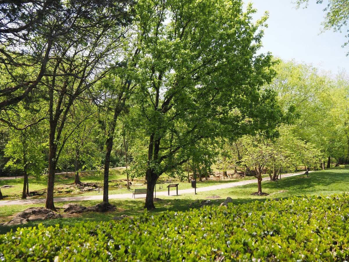 One of the beautiful Farragut Parks