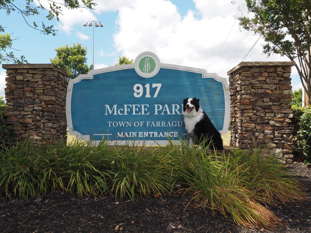 A dog posing next to McFee Park sign, a dog-friendly park in Farragut.