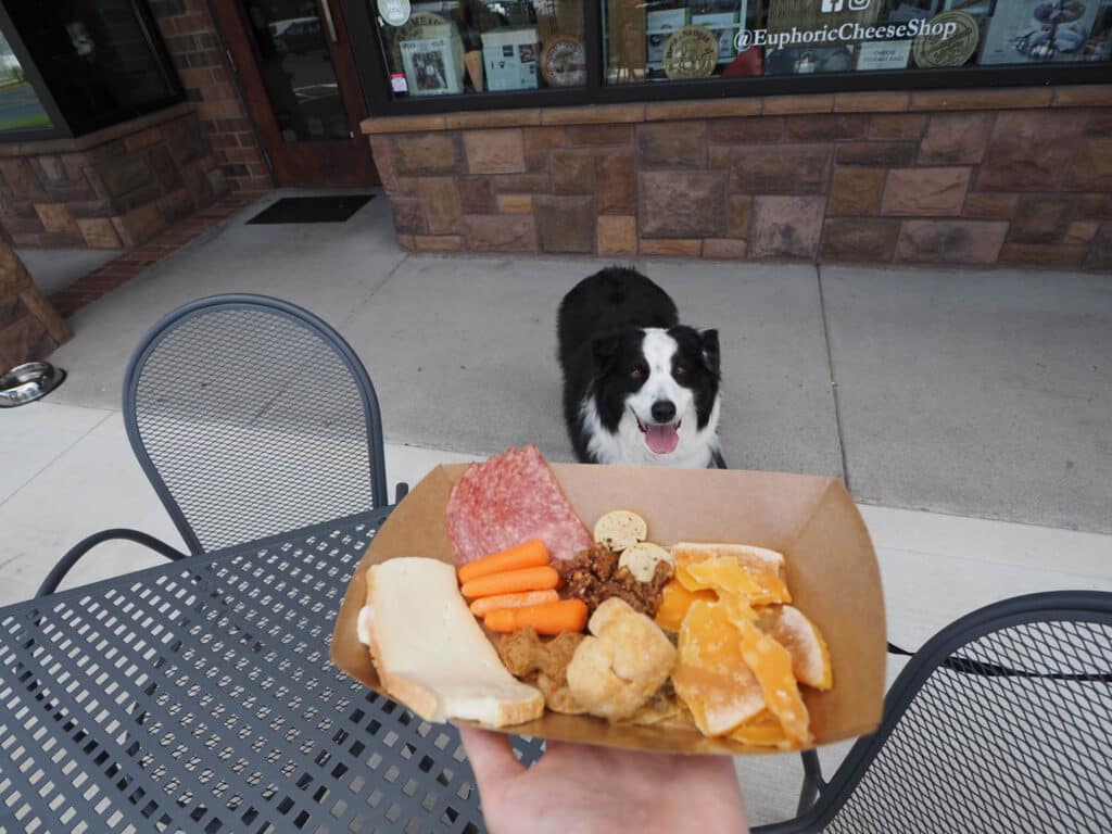 A dog charcuterie board at Sparrow Wine Bar.